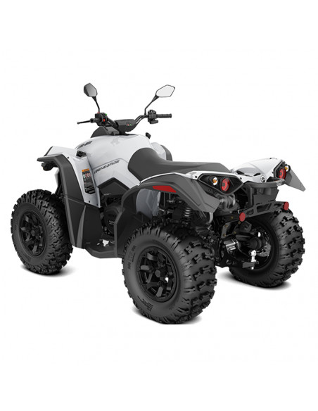 RENEGADE 650 T 2023