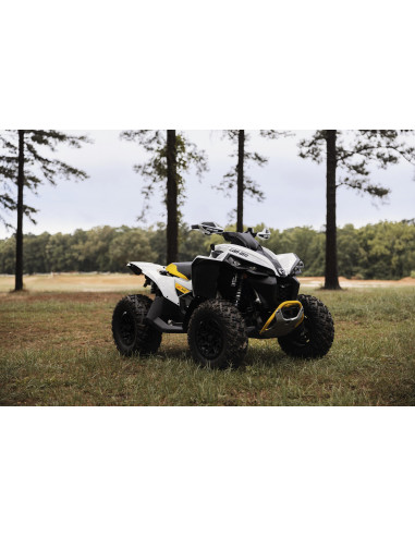 RENEGADE 650 T 2023